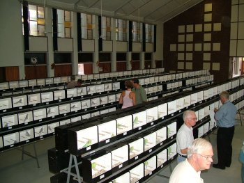 The hall with all the birds benched