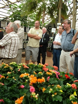 Judging of non budgies taking place surrounded by flowers and various plants