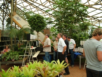 Judging by Johan Lucas of Show Budgies taking place surrounded by flowers and various plants
