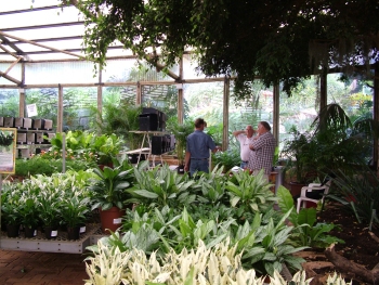 Judging of non budgies taking place surrounded by flowers and various plants