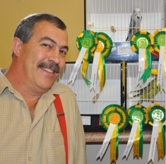 Pierre & Maja - Best Bird on Show, Best Opposite Sex on Show, Best Any Age on Show, Best Young Bird on Show, Best Champion on Show