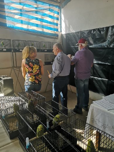 Steve Botoulas (centre) busy judging