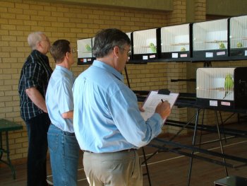 Bob Hirst (back) Judging