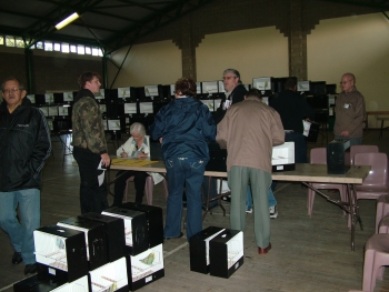 Exhibitors benching birds