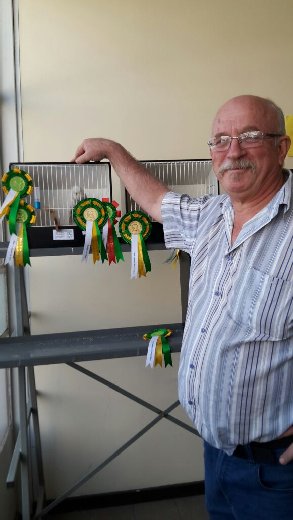 Willrich Aviaries (Otto and Estie) Best Bird on Show at the Free State Championship Show 2016