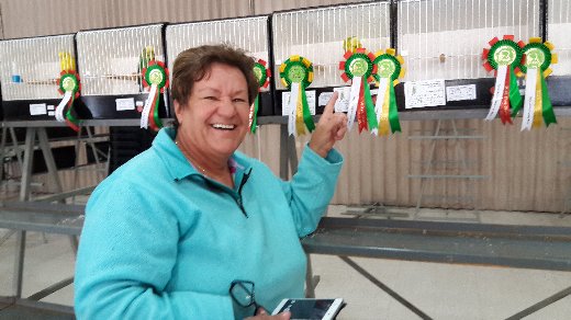 The Free State Championship Show 2016 Best Novice on Show went to Sharon Tomlinson