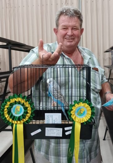 Buks Victor Best Novice on Show at the Free State Championship Show 2022