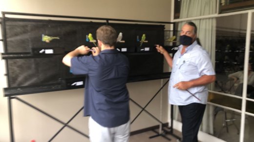 Pierre Swart Judging