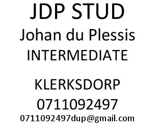 Johan du Plessis