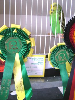 Best Novice on Show - Montrose Aviaries