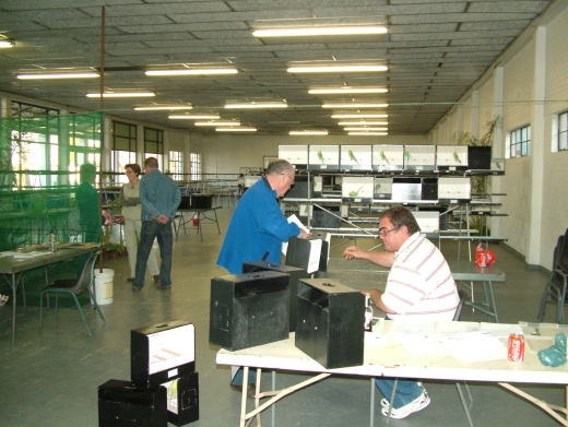 The benching area in front with DJ manning the table. The benched birds in the background. Judging took place on the left.