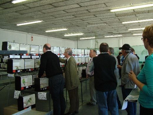 The judges during the judging of the majors.