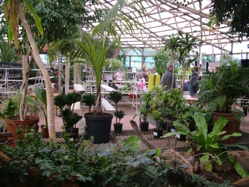 The show hall with exhibits between the Safari Garden Centre indoor plants