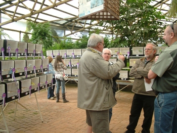 The Show Budgie exhibitors, Gert Pieters, Clarence Marks, Danie Bisschoff and Ian Nel discuss the results after the show