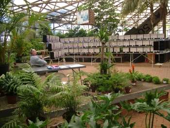 The Show Budgie exhibits in the Safari Garden Centre