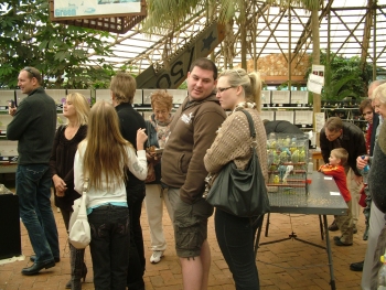 The Show Budgie area with visitors. A total of about 350 visitors came through the doors to visit the show