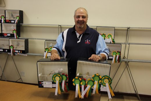 Albert Olivier with Winning Birds, Best Bird, Best Young Bird and Best Opposite Sex at Western Cape Area Championship Show 2015